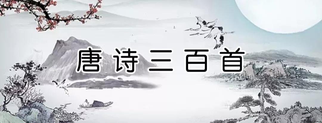 《唐诗三百首》合集（朗诵＋注释＋译文）