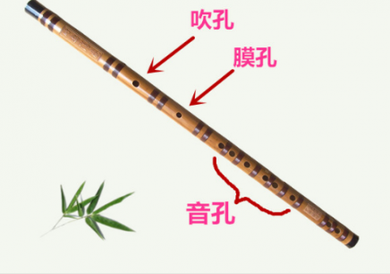 笛子教学教程